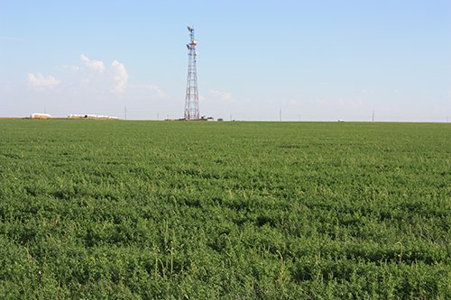 Property photo 52 - LAND AUCTION, 3255+/- Acres offered in 13 Tracts